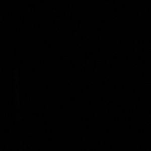 Meet your Posher, Tj